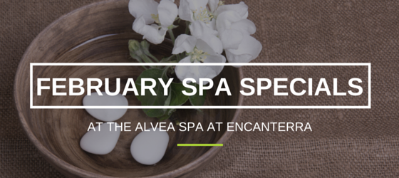 SP Spa Specials at Encanterra (1)