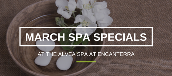 SP Spa Specials at Encanterra (2)