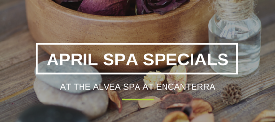 SP Spa Specials at Encanterra (4)