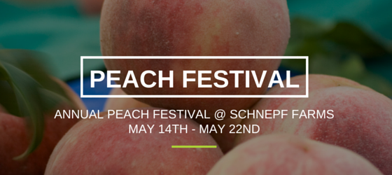 SP Peach Festival- Newsletter