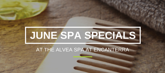 SP Spa Specials at Encanterra (6)