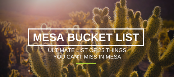 SP Ultimate Mesa Bucket List (1)