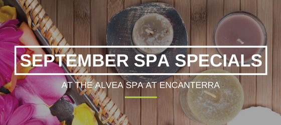 sp-spa-specials-at-encanterra-8